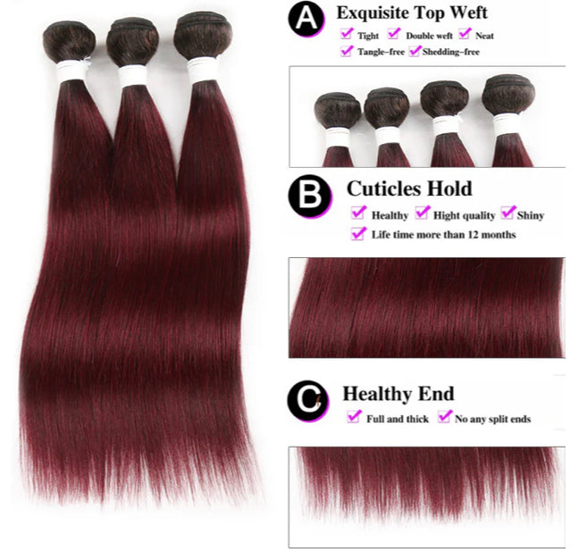 Lushlanes 1B/99J Ombre Straight Hair 3 Bundles With 13x4 Lace Frontal Pre Colored